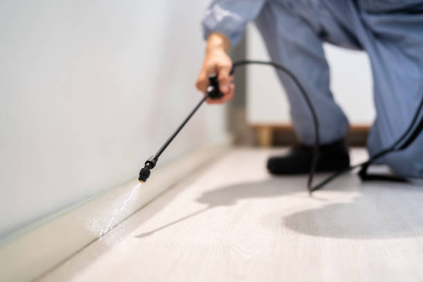 Licensed Pest Control service in Durham, NC - Show Me Pest Control